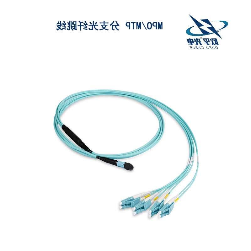 浙江MPO/MTP 分支光纤跳线